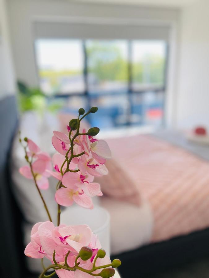 Walking Distance To Riverside Market & Hospital Christchurch Exteriör bild
