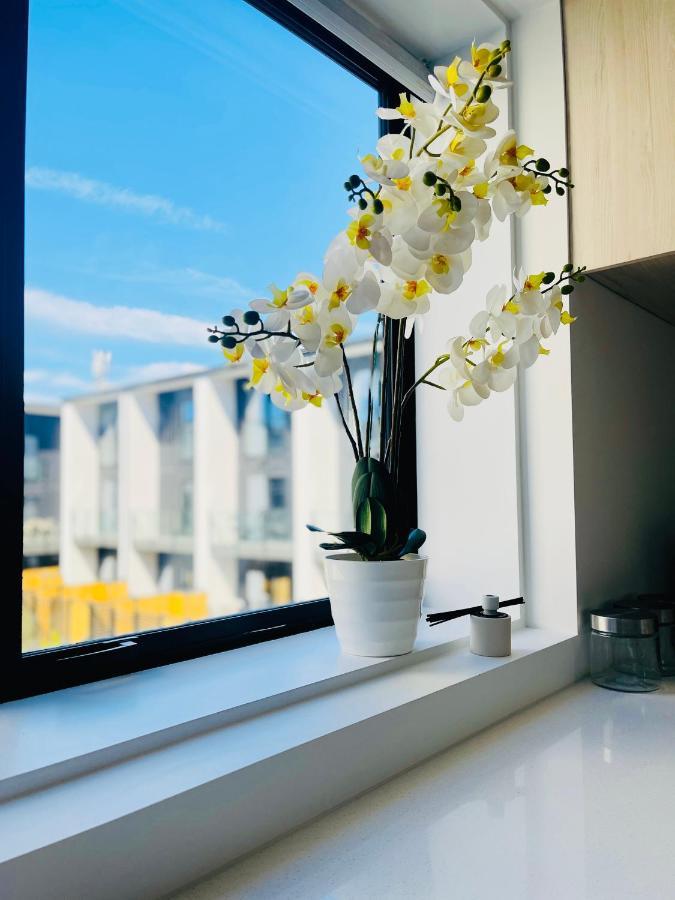 Walking Distance To Riverside Market & Hospital Christchurch Exteriör bild